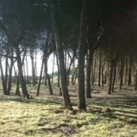 Mare & Pineta Villa Castel Volturno